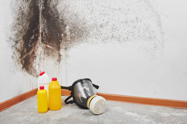 Best Mold Testing and Removal  in Brookneal, VA