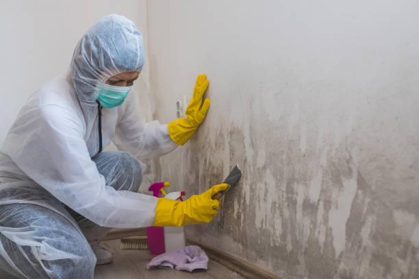Best Water Damage Restoration  in Brookneal, VA