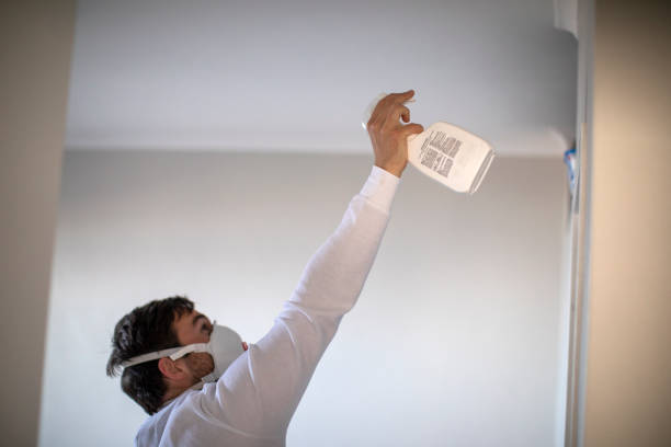 Best Mold Remediation  in Brookneal, VA