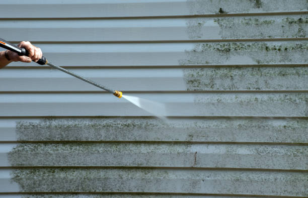 Best Home Mold Removal  in Brookneal, VA