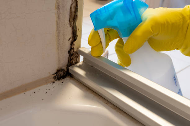 Best Toxic Mold Removal  in Brookneal, VA