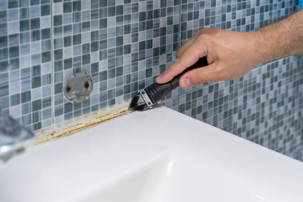 Best Mold Cleaning Services  in Brookneal, VA
