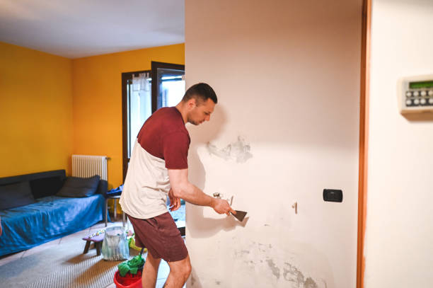 Best Mold Removal Company Near Me  in Brookneal, VA